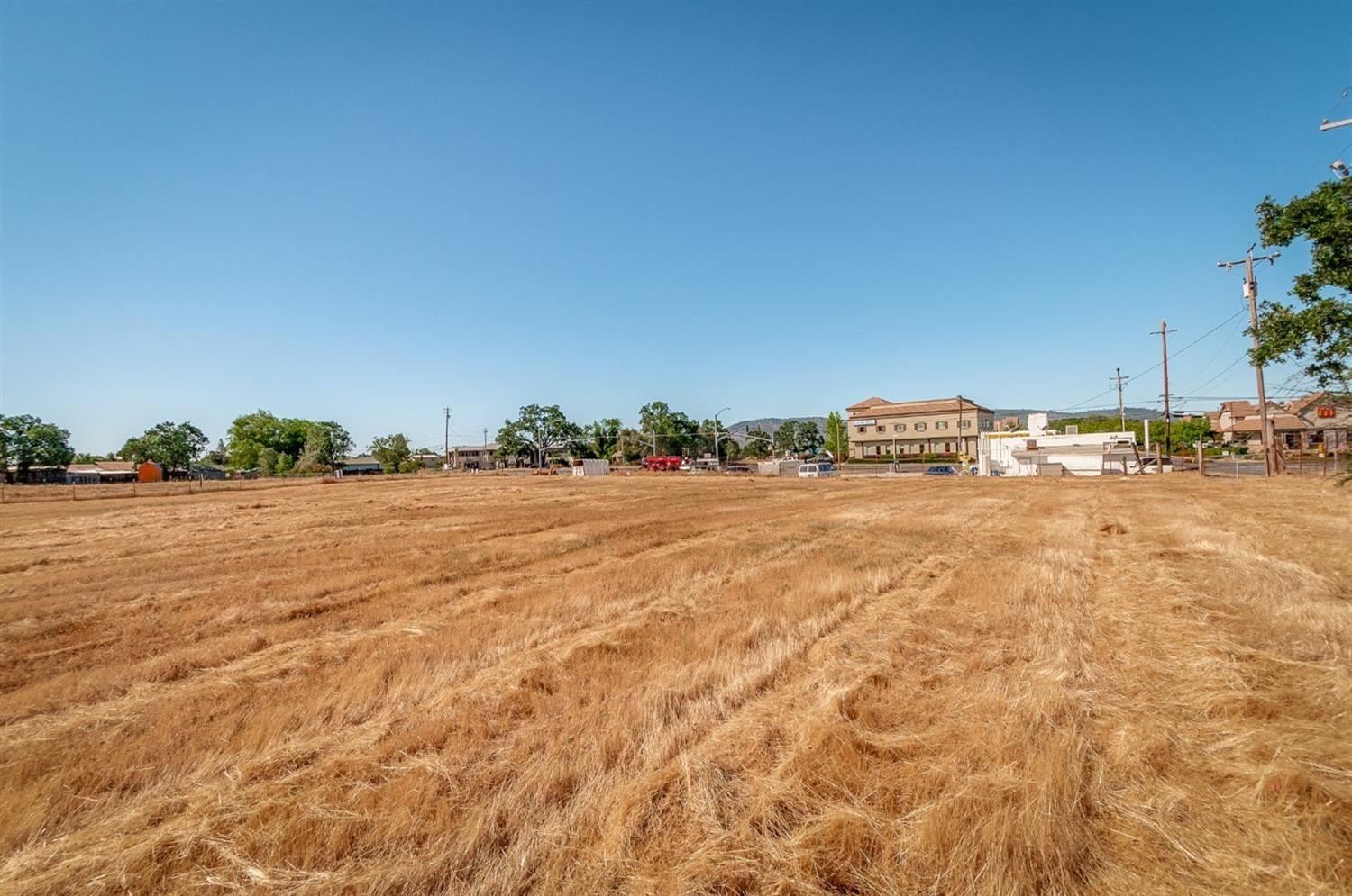 0 Dogtown Road, Angels Camp, California 95222, ,Land,For Sale,Dogtown Road,202300877