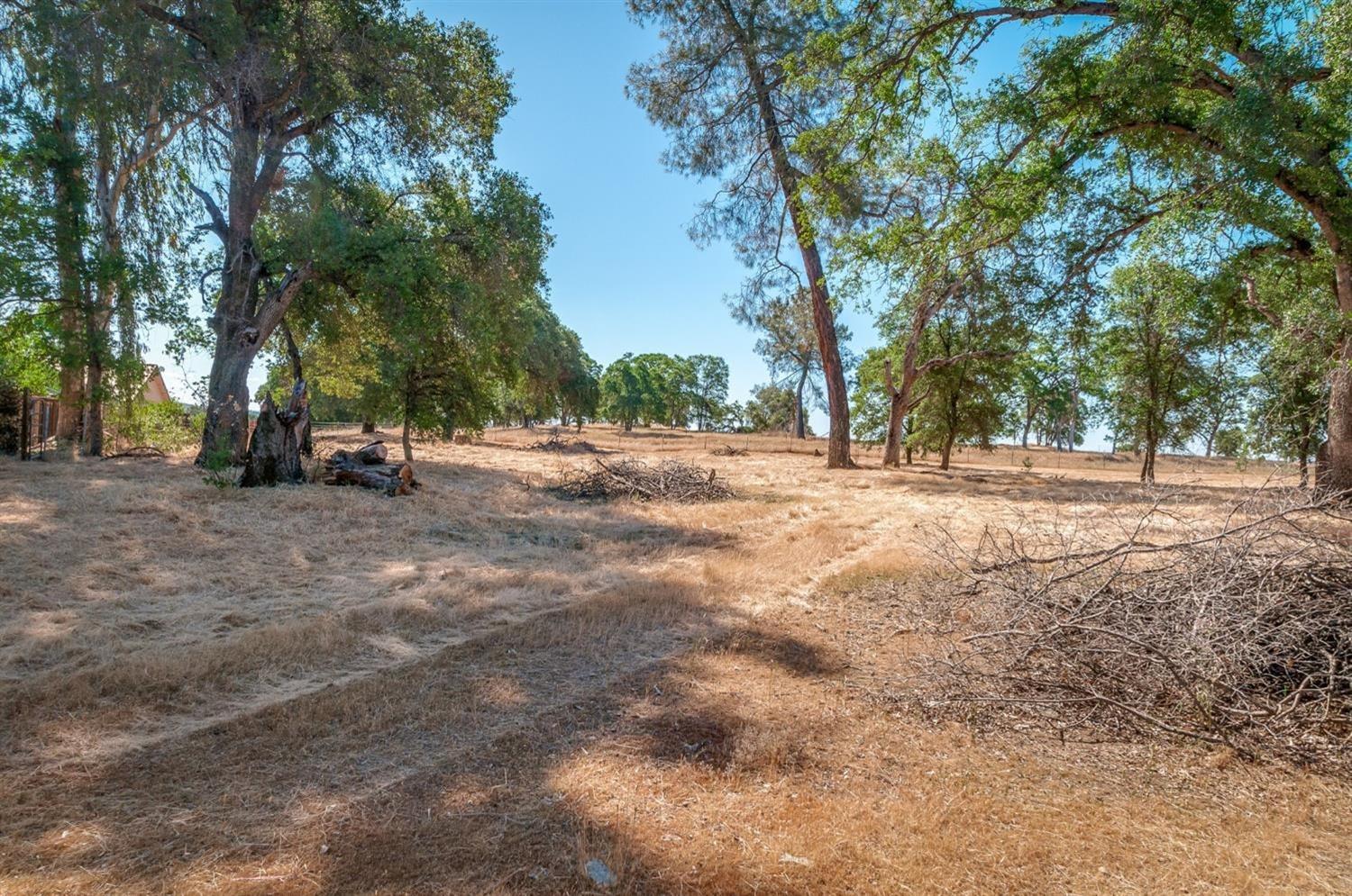 0 Dogtown Road, Angels Camp, California 95222, ,Land,For Sale,Dogtown Road,202300877