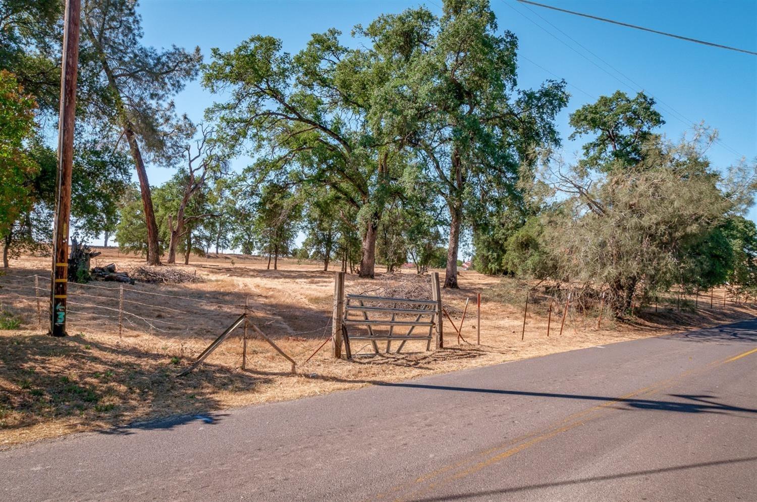 0 Dogtown Road, Angels Camp, California 95222, ,Land,For Sale,Dogtown Road,202300877