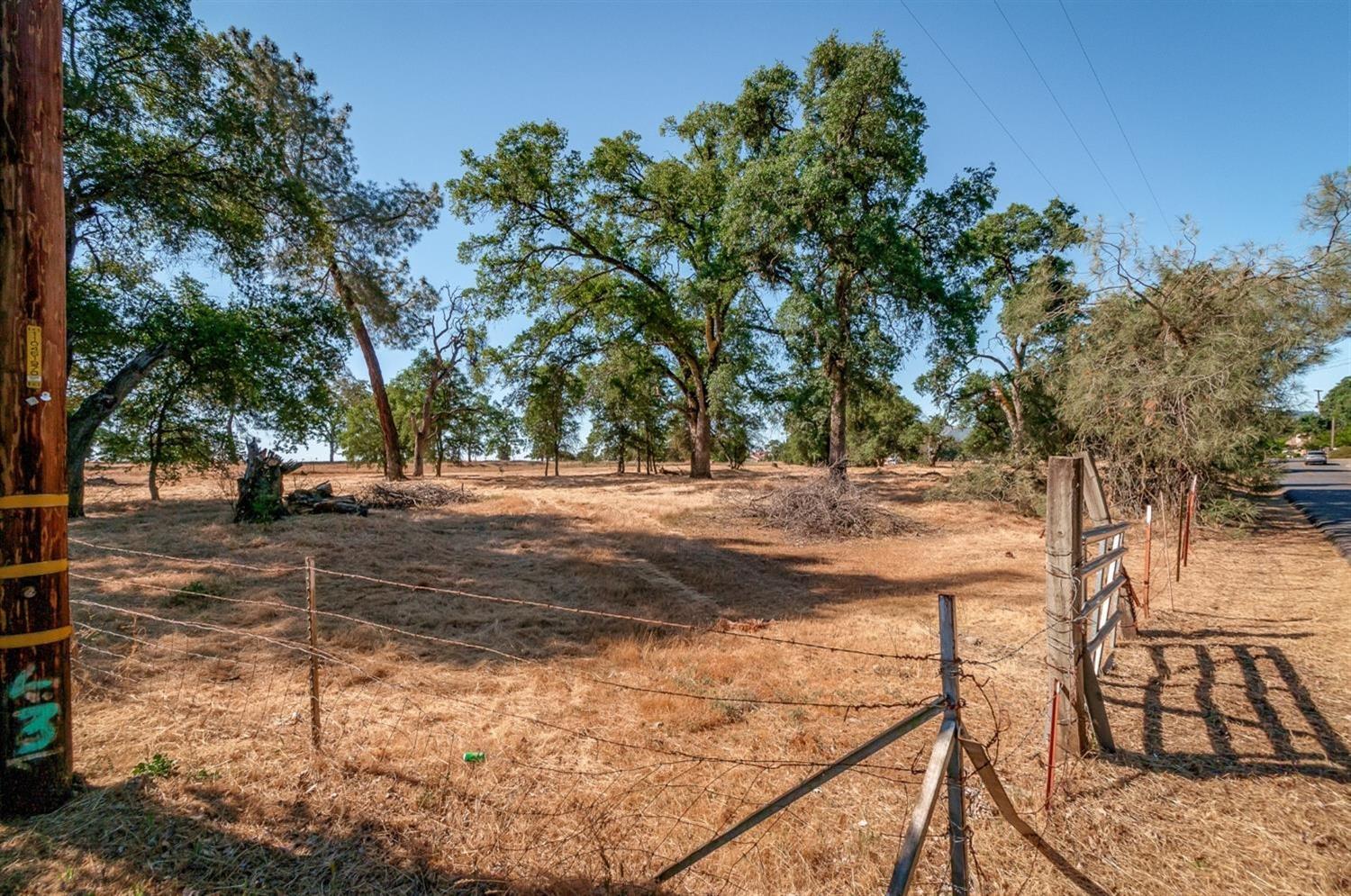 0 Dogtown Road, Angels Camp, California 95222, ,Land,For Sale,Dogtown Road,202300877