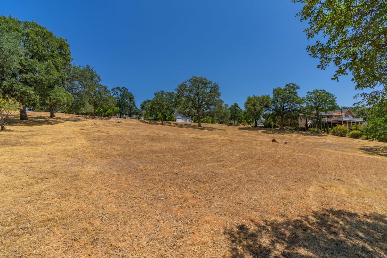 700 Live Oak Drive, Angels Camp, California 95222, ,Land,For Sale,Live Oak,202300865