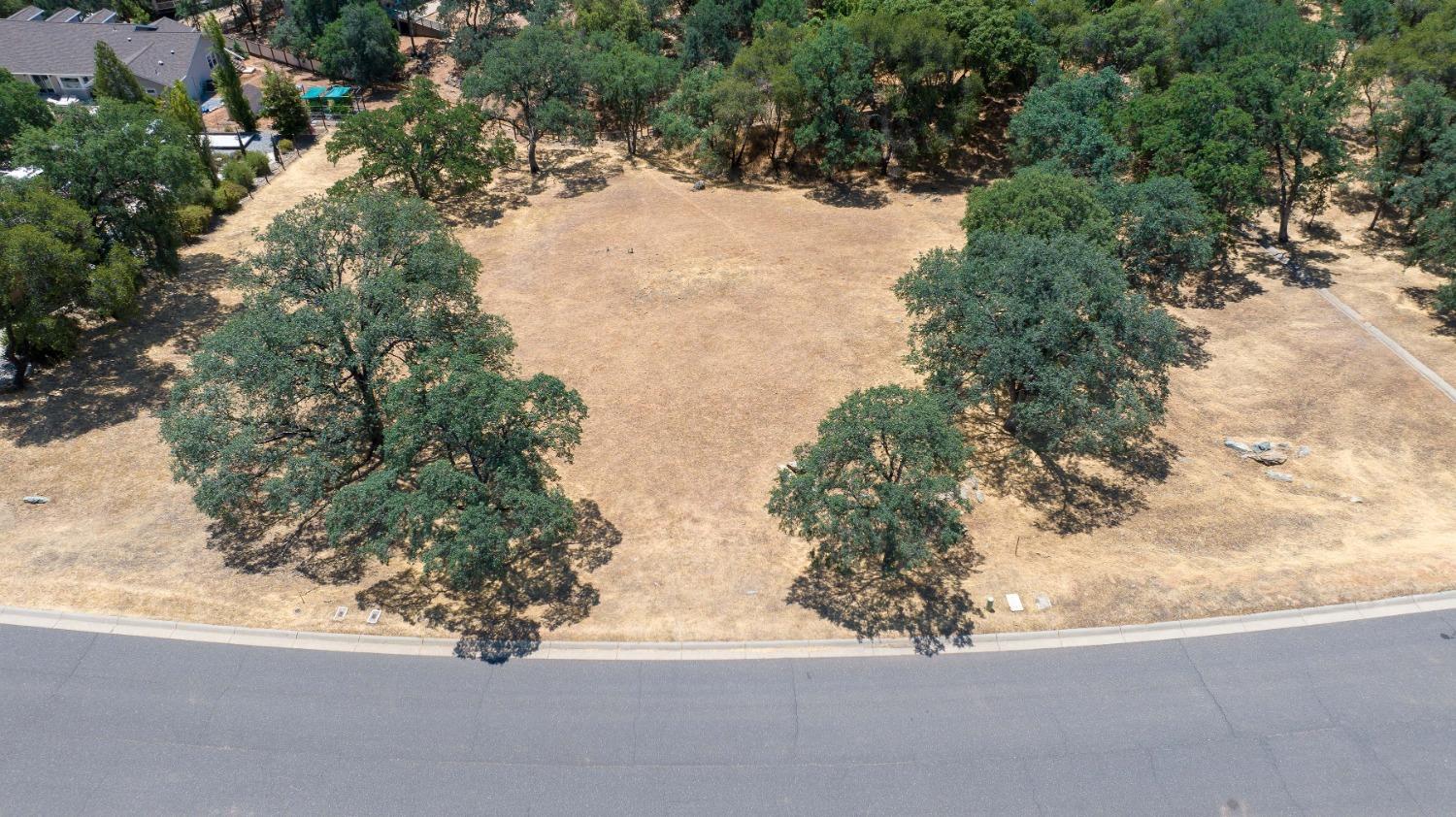 700 Live Oak Drive, Angels Camp, California 95222, ,Land,For Sale,Live Oak,202300865