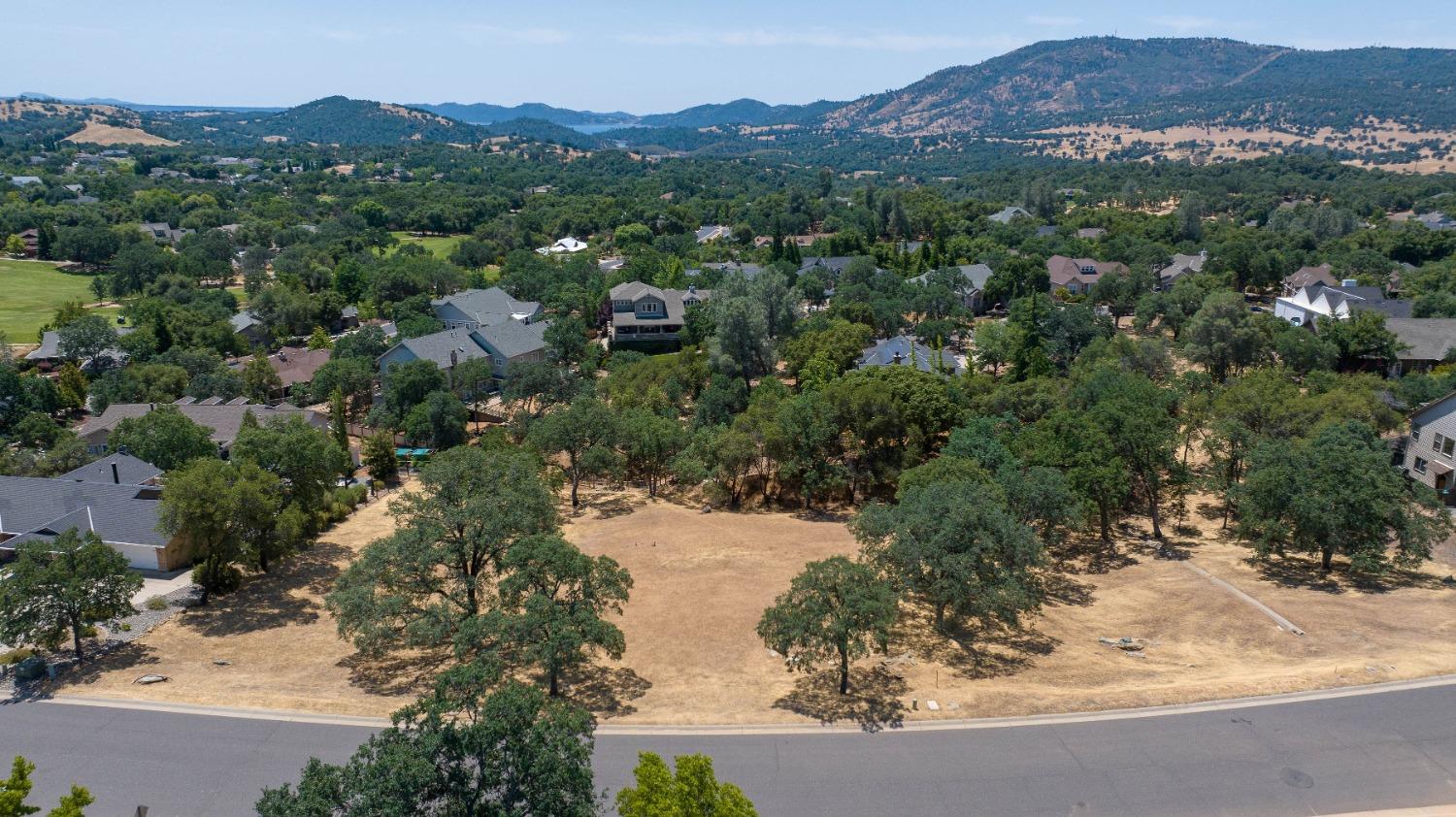 700 Live Oak Drive, Angels Camp, California 95222, ,Land,For Sale,Live Oak,202300865