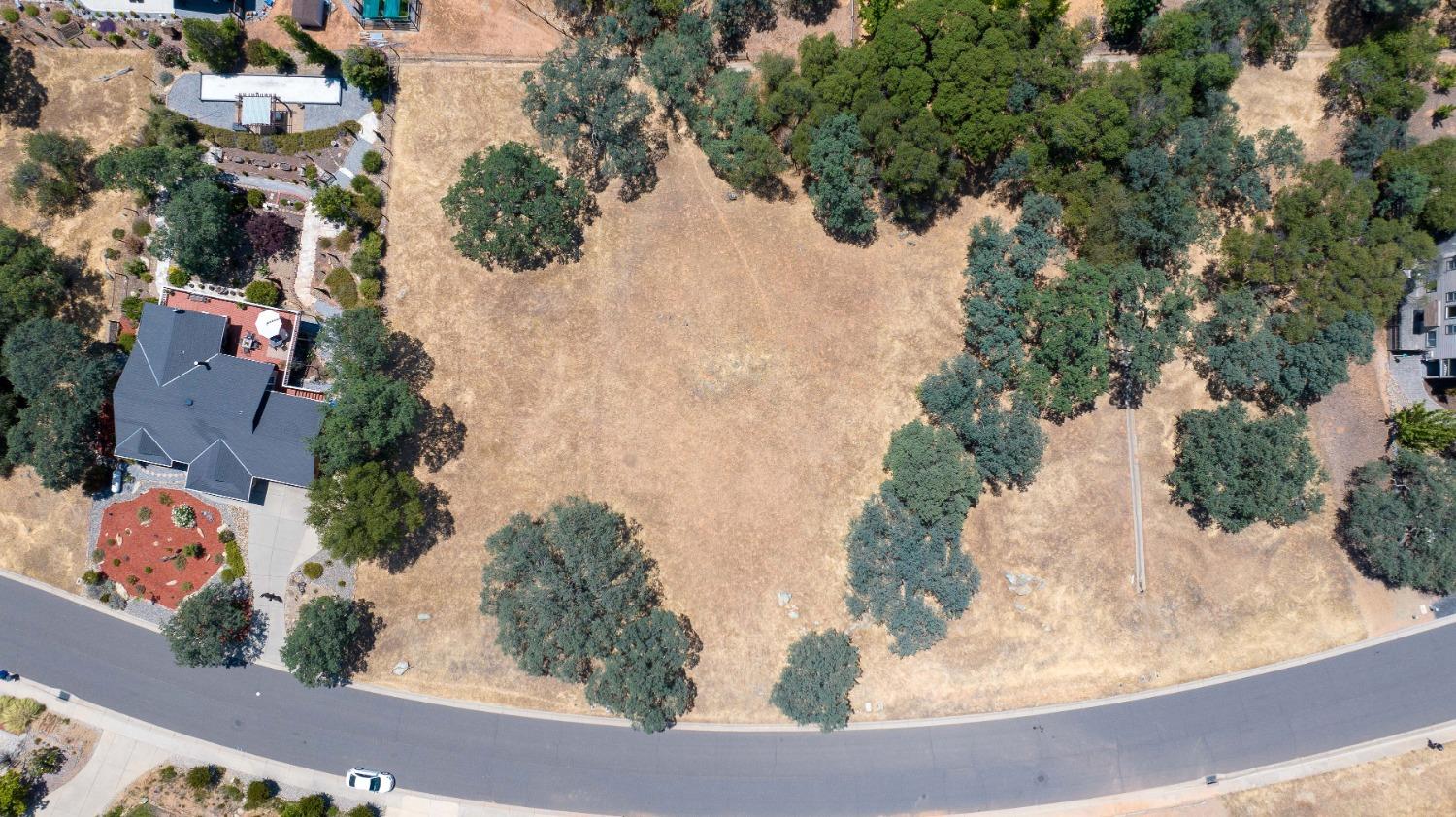 700 Live Oak Drive, Angels Camp, California 95222, ,Land,For Sale,Live Oak,202300865