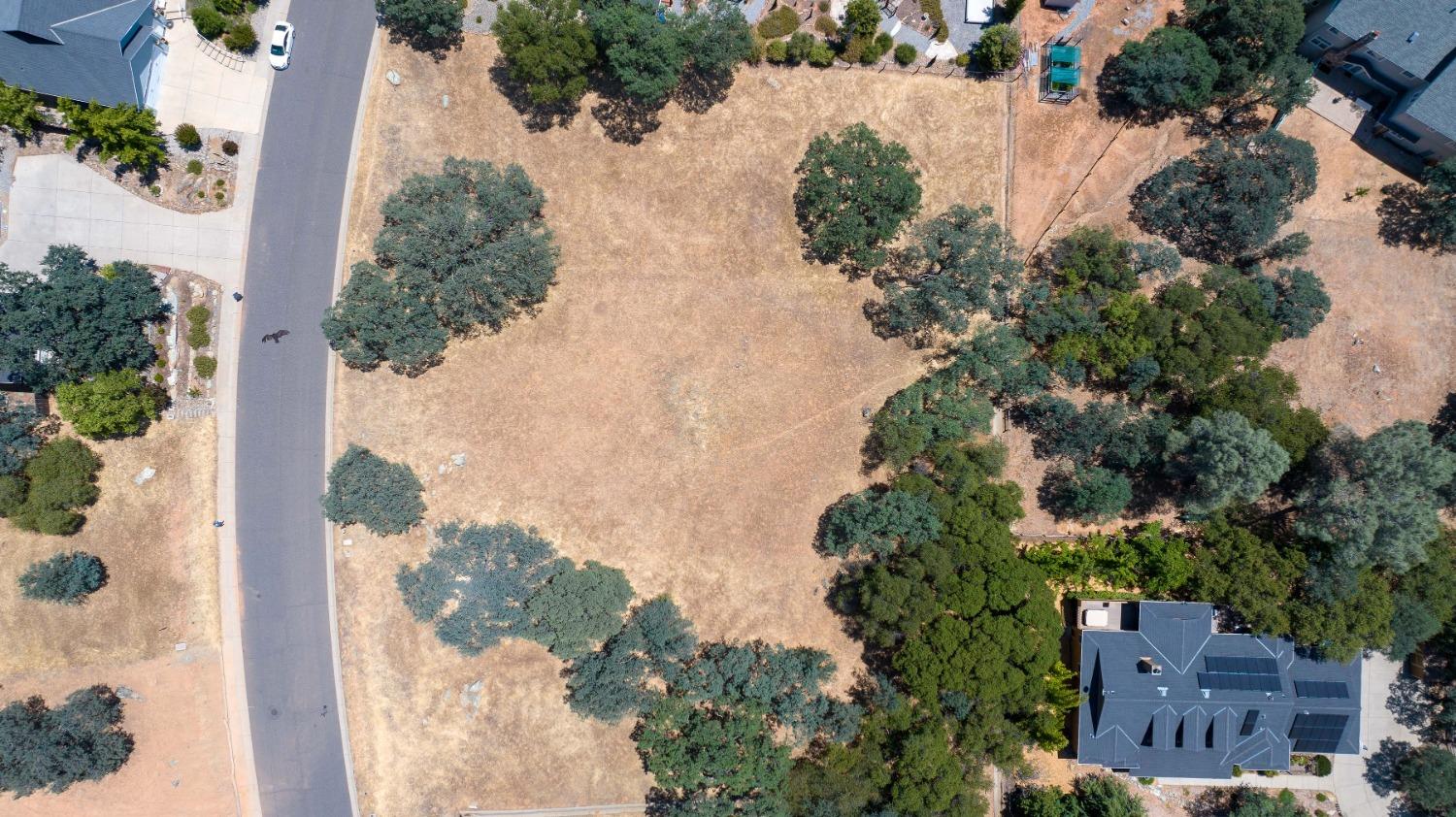 700 Live Oak Drive, Angels Camp, California 95222, ,Land,For Sale,Live Oak,202300865