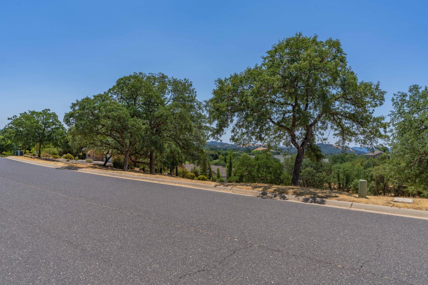 700 Live Oak Drive, Angels Camp, California 95222, ,Land,For Sale,Live Oak,202300865