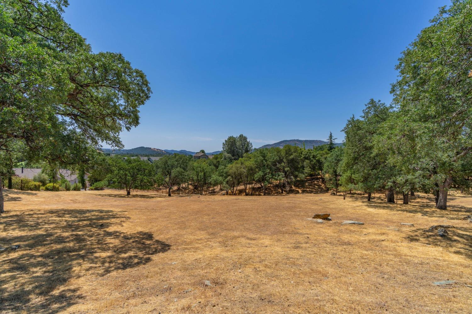 700 Live Oak Drive, Angels Camp, California 95222, ,Land,For Sale,Live Oak,202300865