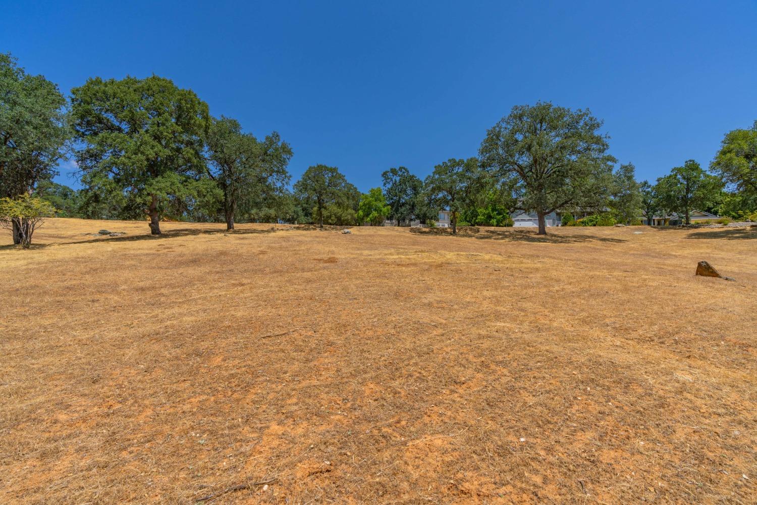 700 Live Oak Drive, Angels Camp, California 95222, ,Land,For Sale,Live Oak,202300865