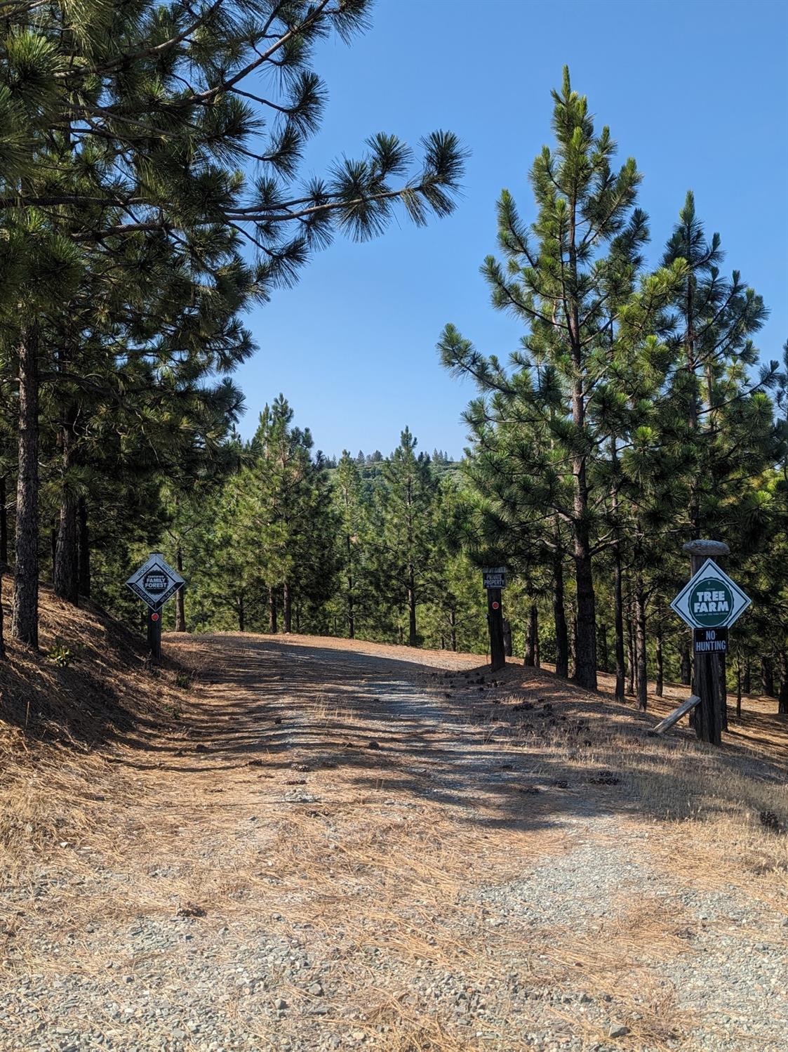 0 Sheep Ranch Road, Murphys, California 95247, ,Land,For Sale,Sheep Ranch Road,202300874