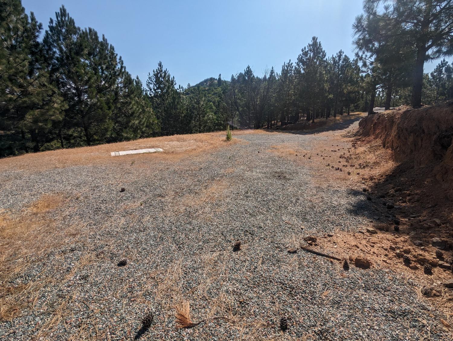 0 Sheep Ranch Road, Murphys, California 95247, ,Land,For Sale,Sheep Ranch Road,202300874