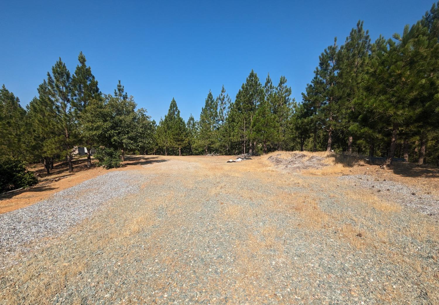 0 Sheep Ranch Road, Murphys, California 95247, ,Land,For Sale,Sheep Ranch Road,202300874