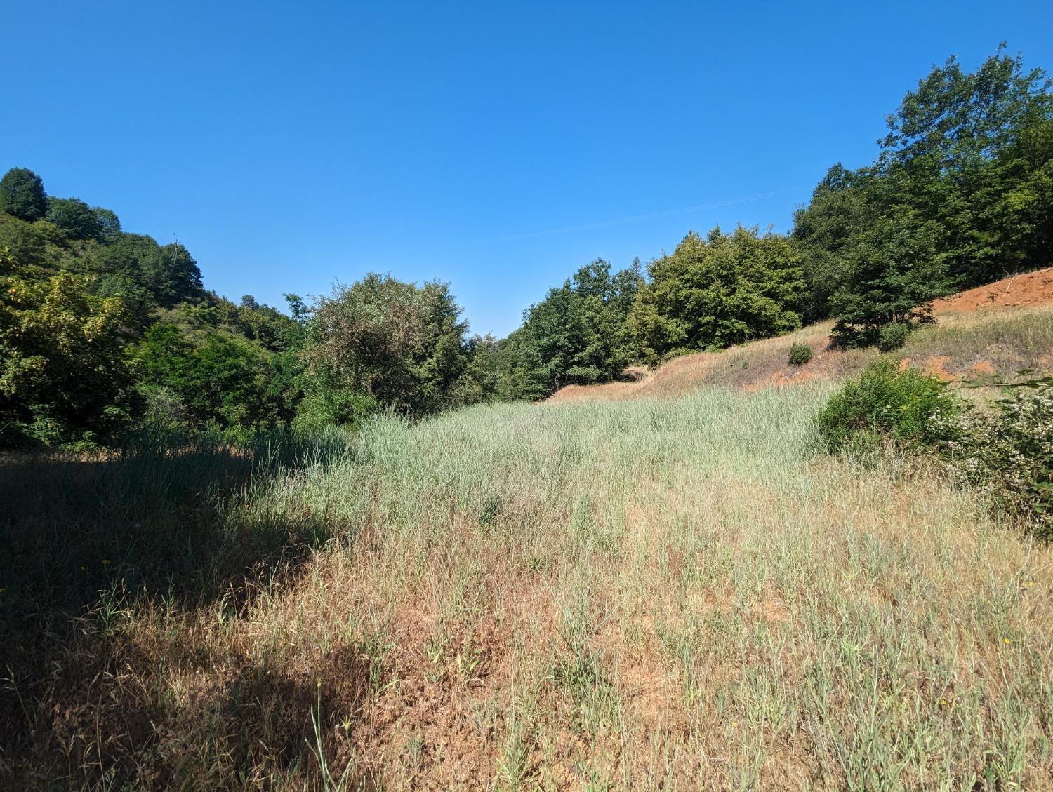 0 Sheep Ranch Road, Murphys, California 95247, ,Land,For Sale,Sheep Ranch Road,202300874