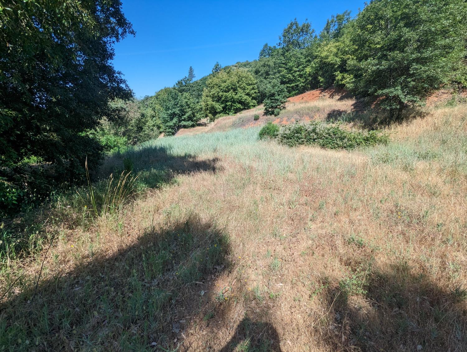 0 Sheep Ranch Road, Murphys, California 95247, ,Land,For Sale,Sheep Ranch Road,202300874