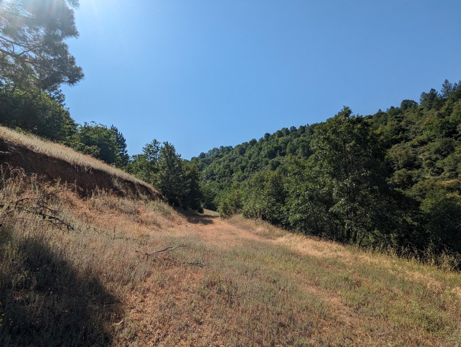 0 Sheep Ranch Road, Murphys, California 95247, ,Land,For Sale,Sheep Ranch Road,202300874