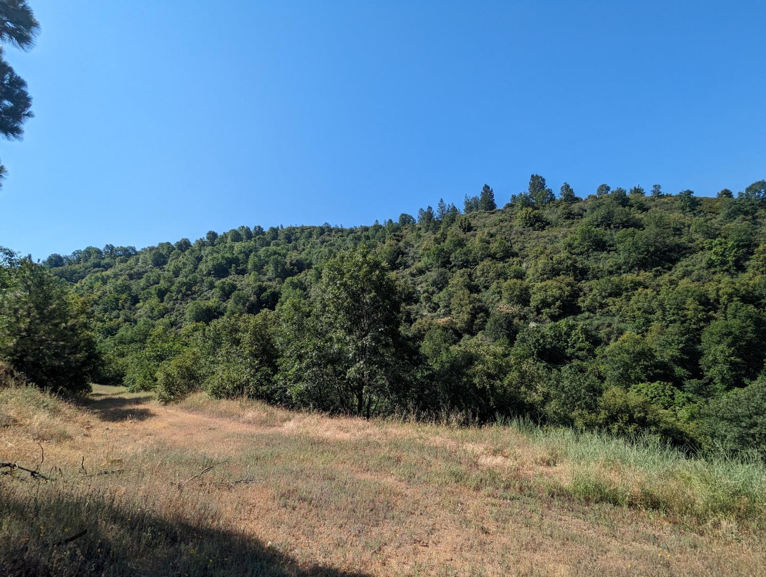 0 Sheep Ranch Road, Murphys, California 95247, ,Land,For Sale,Sheep Ranch Road,202300874