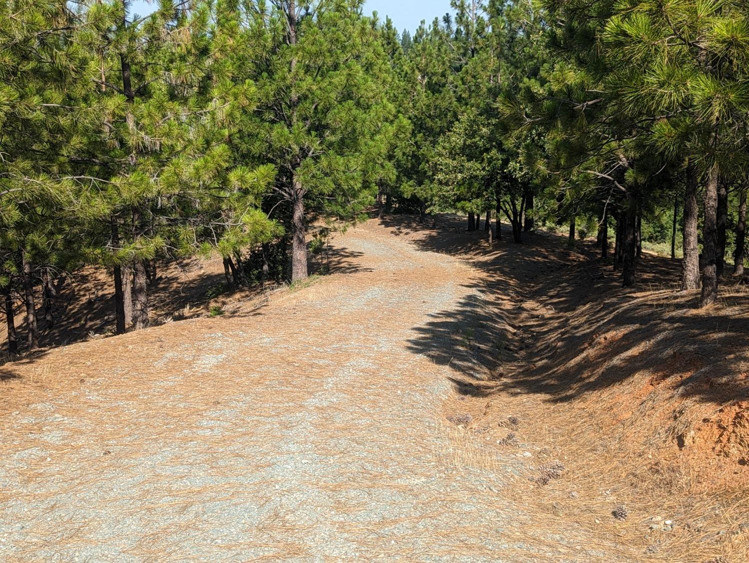 0 Sheep Ranch Road, Murphys, California 95247, ,Land,For Sale,Sheep Ranch Road,202300874