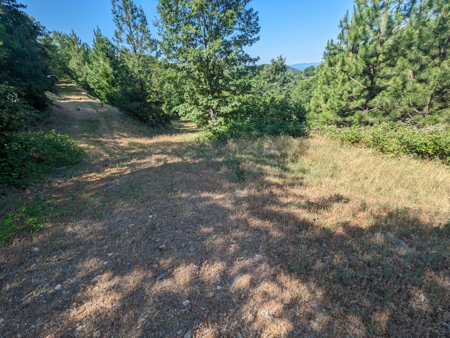 0 Sheep Ranch Road, Murphys, California 95247, ,Land,For Sale,Sheep Ranch Road,202300874