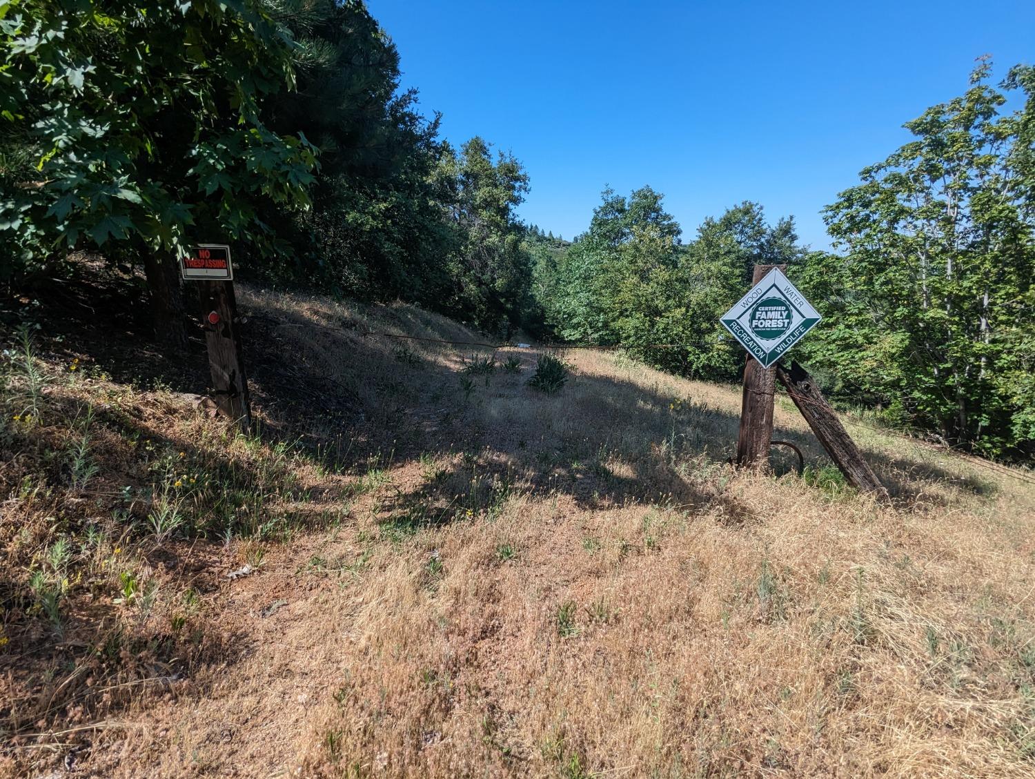 0 Sheep Ranch Road, Murphys, California 95247, ,Land,For Sale,Sheep Ranch Road,202300874