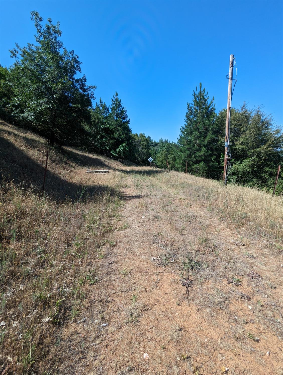 0 Sheep Ranch Road, Murphys, California 95247, ,Land,For Sale,Sheep Ranch Road,202300874