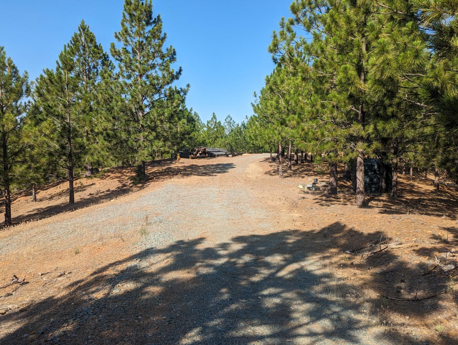 0 Sheep Ranch Road, Murphys, California 95247, ,Land,For Sale,Sheep Ranch Road,202300874