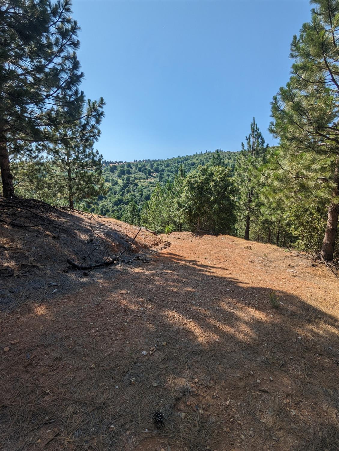 0 Sheep Ranch Road, Murphys, California 95247, ,Land,For Sale,Sheep Ranch Road,202300874