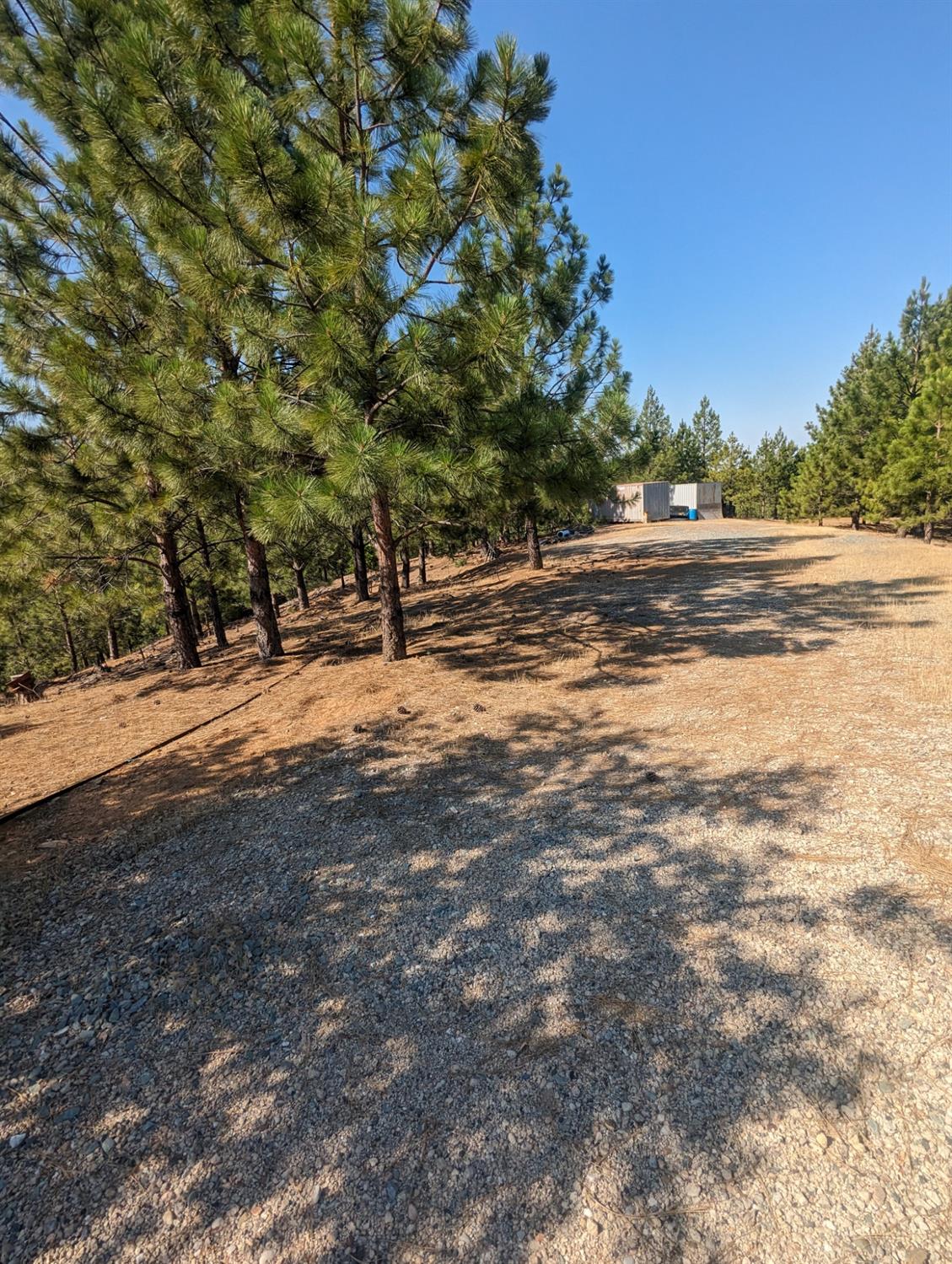 0 Sheep Ranch Road, Murphys, California 95247, ,Land,For Sale,Sheep Ranch Road,202300874