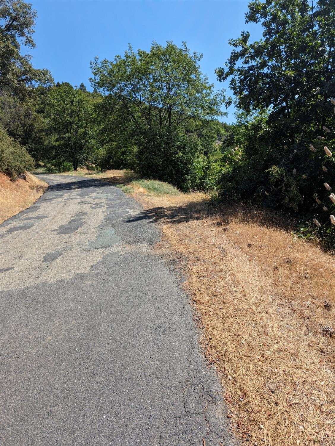 0 Sheep Ranch Road, Murphys, California 95247, ,Land,For Sale,Sheep Ranch Road,202300874