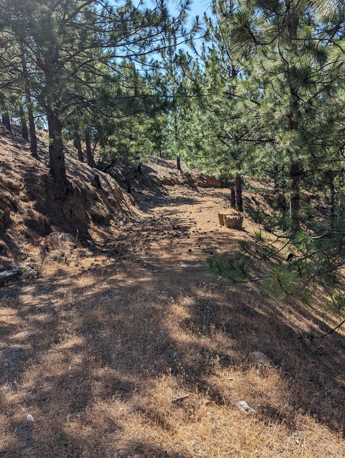 0 Sheep Ranch Road, Murphys, California 95247, ,Land,For Sale,Sheep Ranch Road,202300874