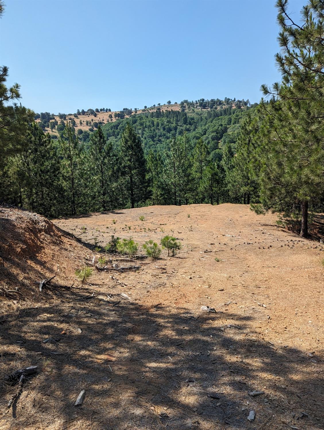 0 Sheep Ranch Road, Murphys, California 95247, ,Land,For Sale,Sheep Ranch Road,202300874