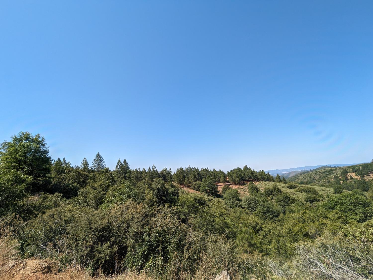 0 Sheep Ranch Road, Murphys, California 95247, ,Land,For Sale,Sheep Ranch Road,202300874