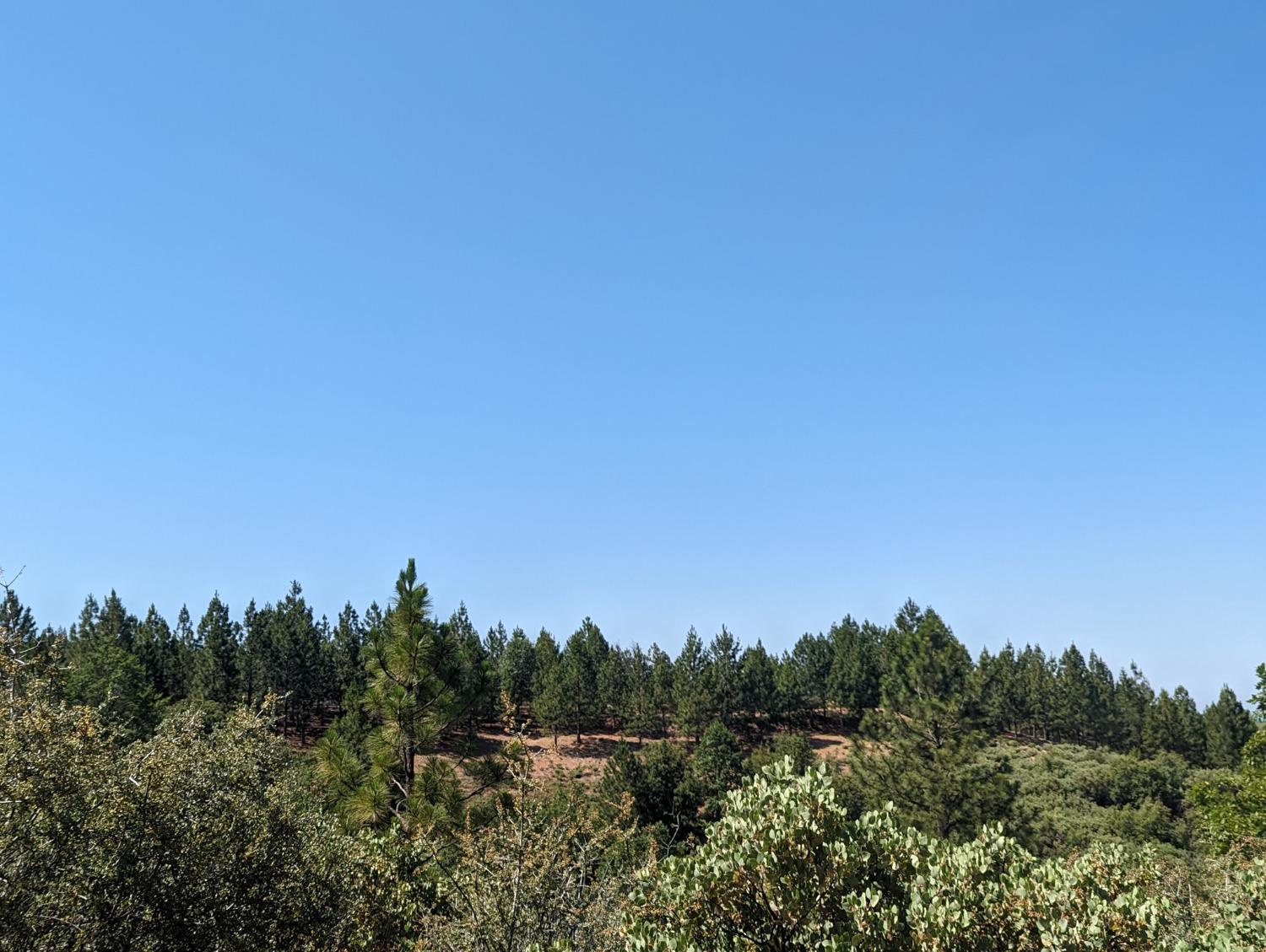 0 Sheep Ranch Road, Murphys, California 95247, ,Land,For Sale,Sheep Ranch Road,202300874