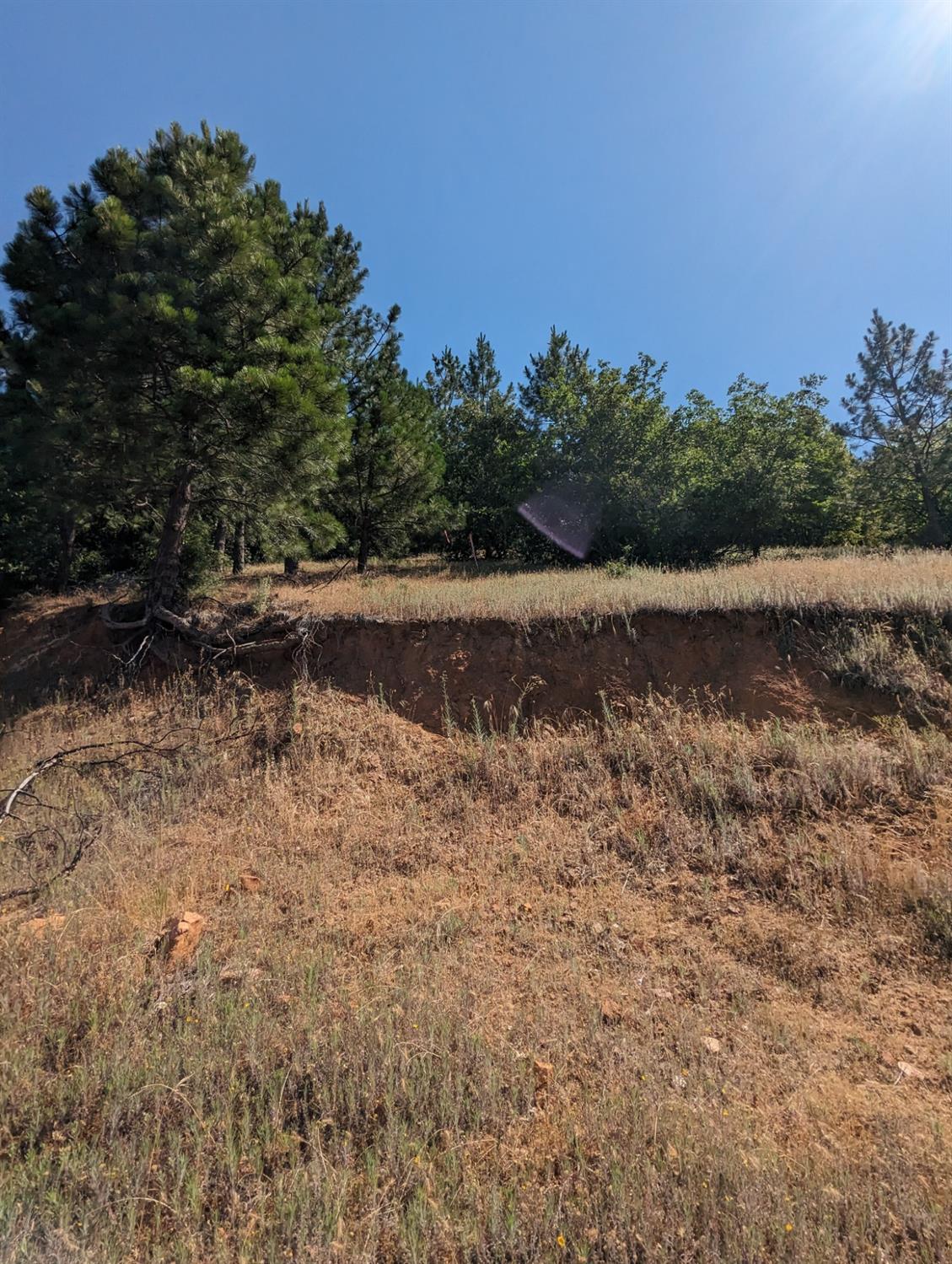 0 Sheep Ranch Road, Murphys, California 95247, ,Land,For Sale,Sheep Ranch Road,202300874