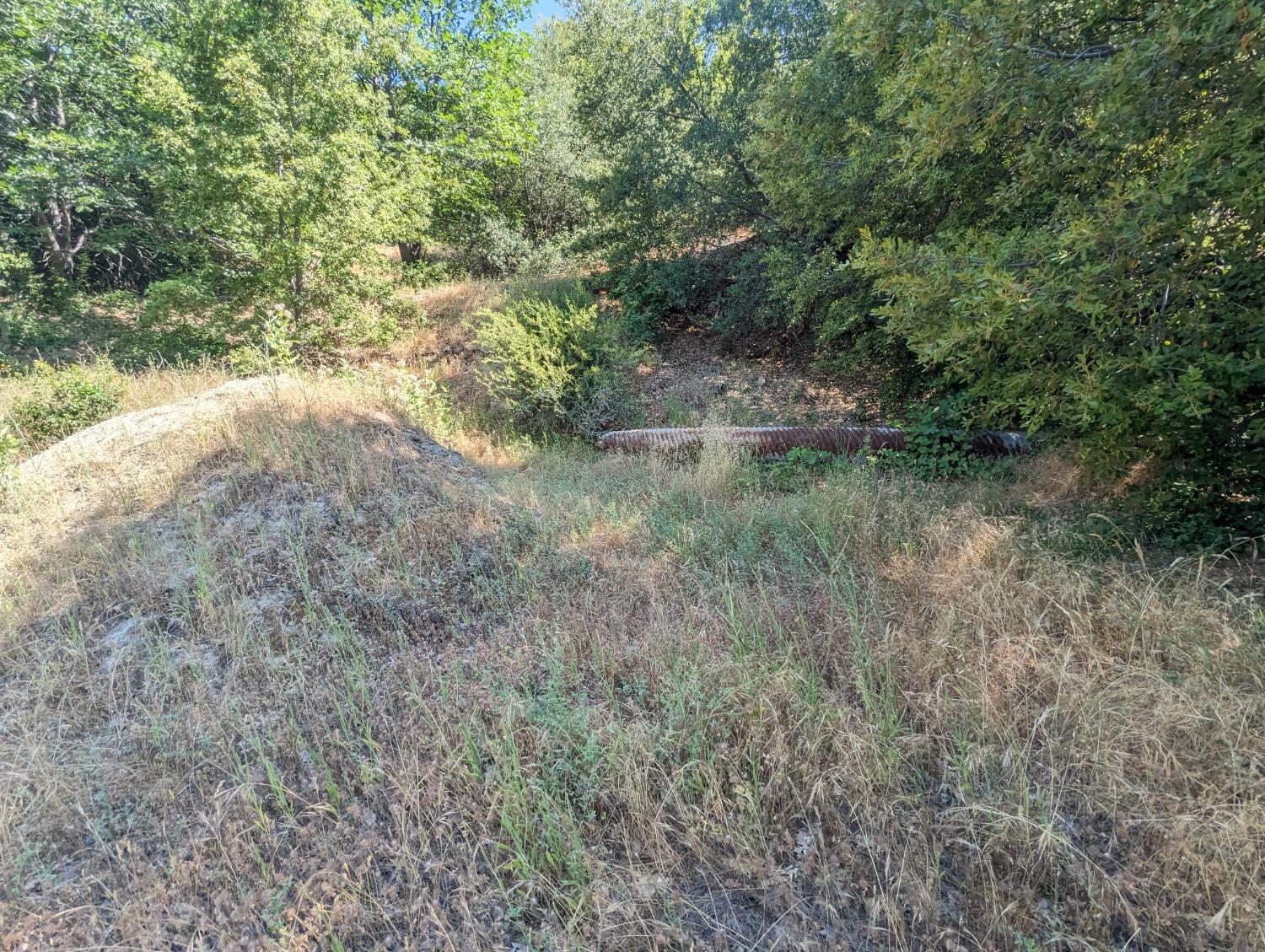 0 Sheep Ranch Road, Murphys, California 95247, ,Land,For Sale,Sheep Ranch Road,202300874