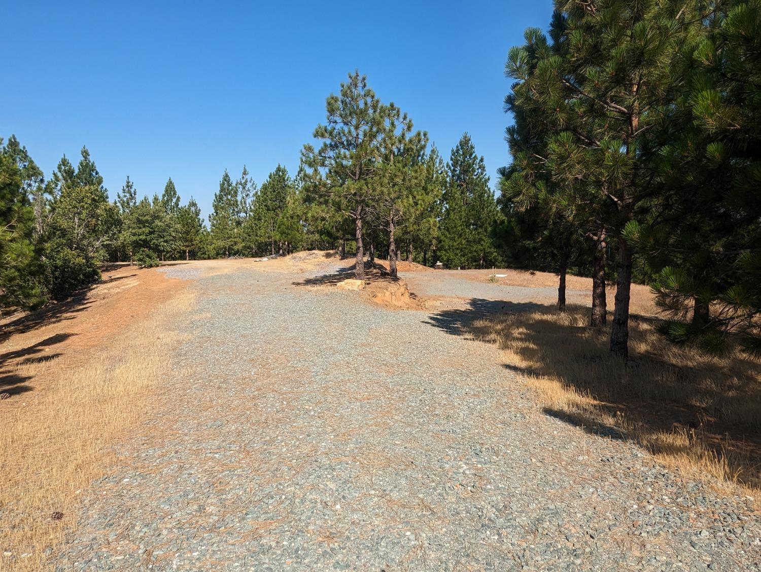 0 Sheep Ranch Road, Murphys, California 95247, ,Land,For Sale,Sheep Ranch Road,202300874