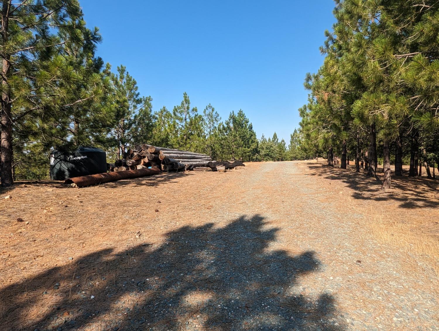 0 Sheep Ranch Road, Murphys, California 95247, ,Land,For Sale,Sheep Ranch Road,202300874