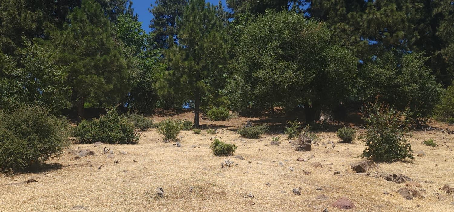 1202 Heather Drive, Murphys, California 95247, ,Land,For Sale,Heather,202300915