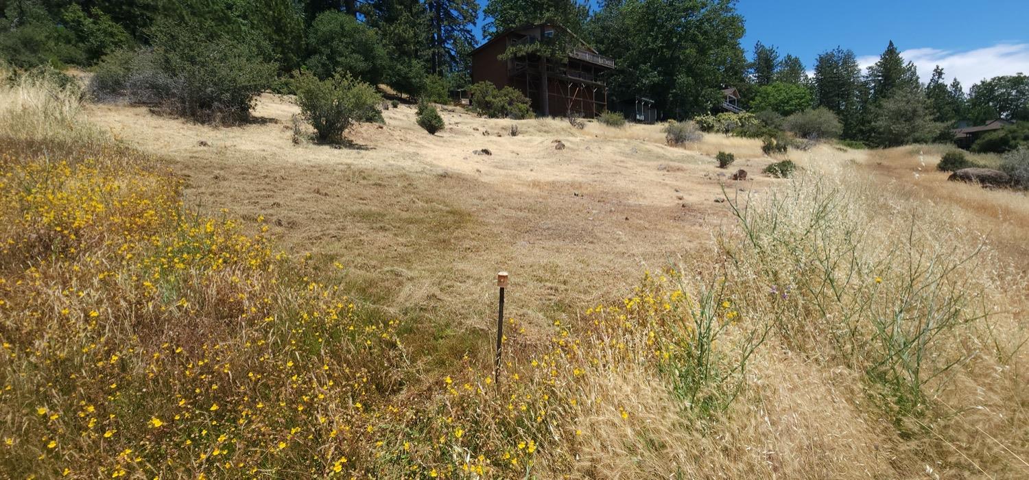 1202 Heather Drive, Murphys, California 95247, ,Land,For Sale,Heather,202300915