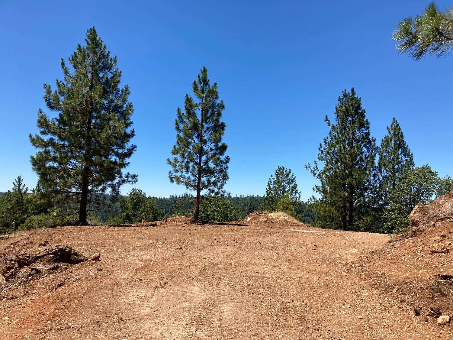 2676 Silver Mountain, Wilseyville, California 95257, ,Land,For Sale,Silver Mountain,202300922