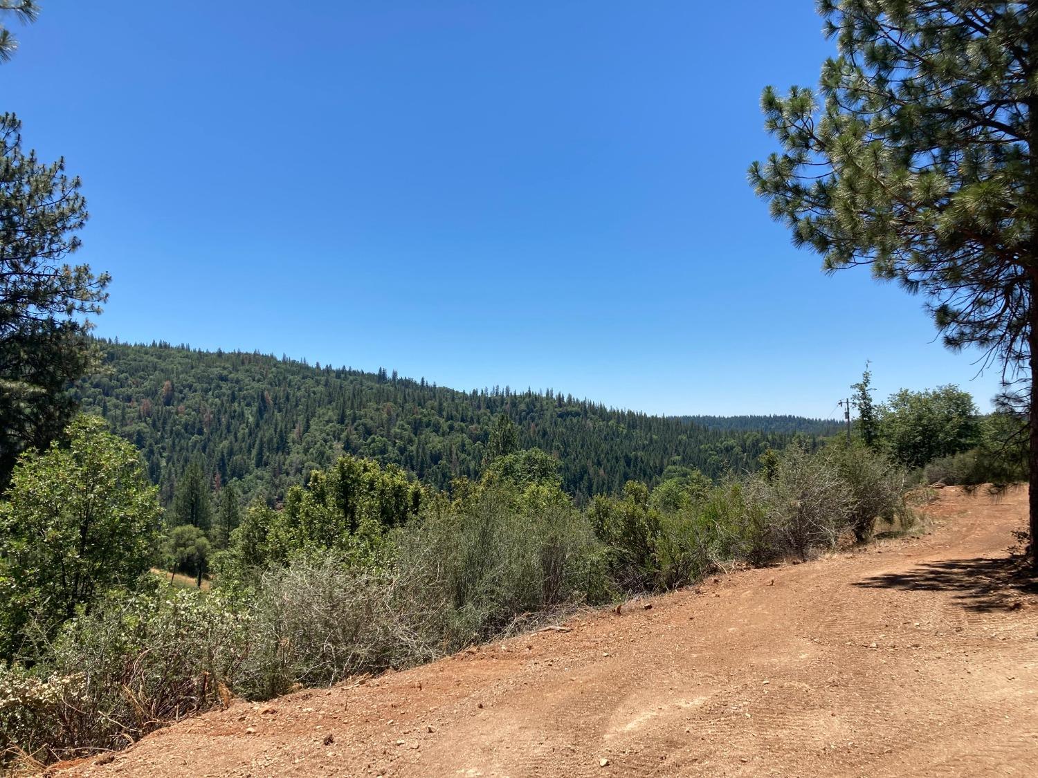 2676 Silver Mountain, Wilseyville, California 95257, ,Land,For Sale,Silver Mountain,202300922