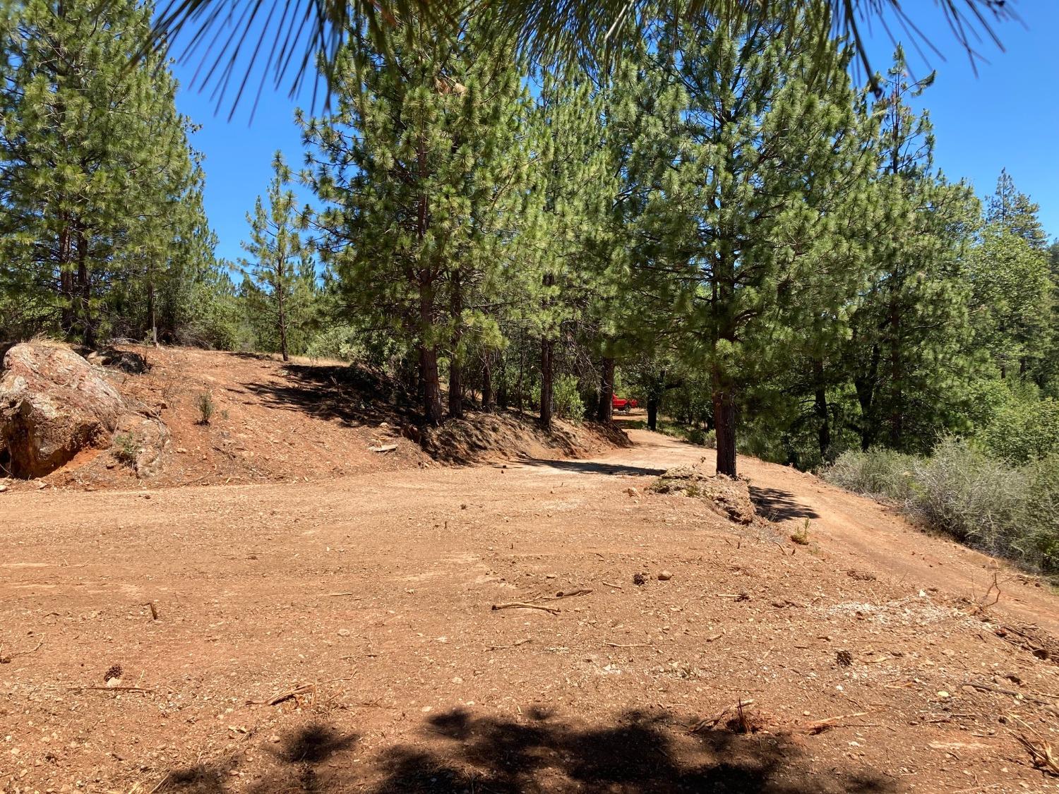 2676 Silver Mountain, Wilseyville, California 95257, ,Land,For Sale,Silver Mountain,202300922