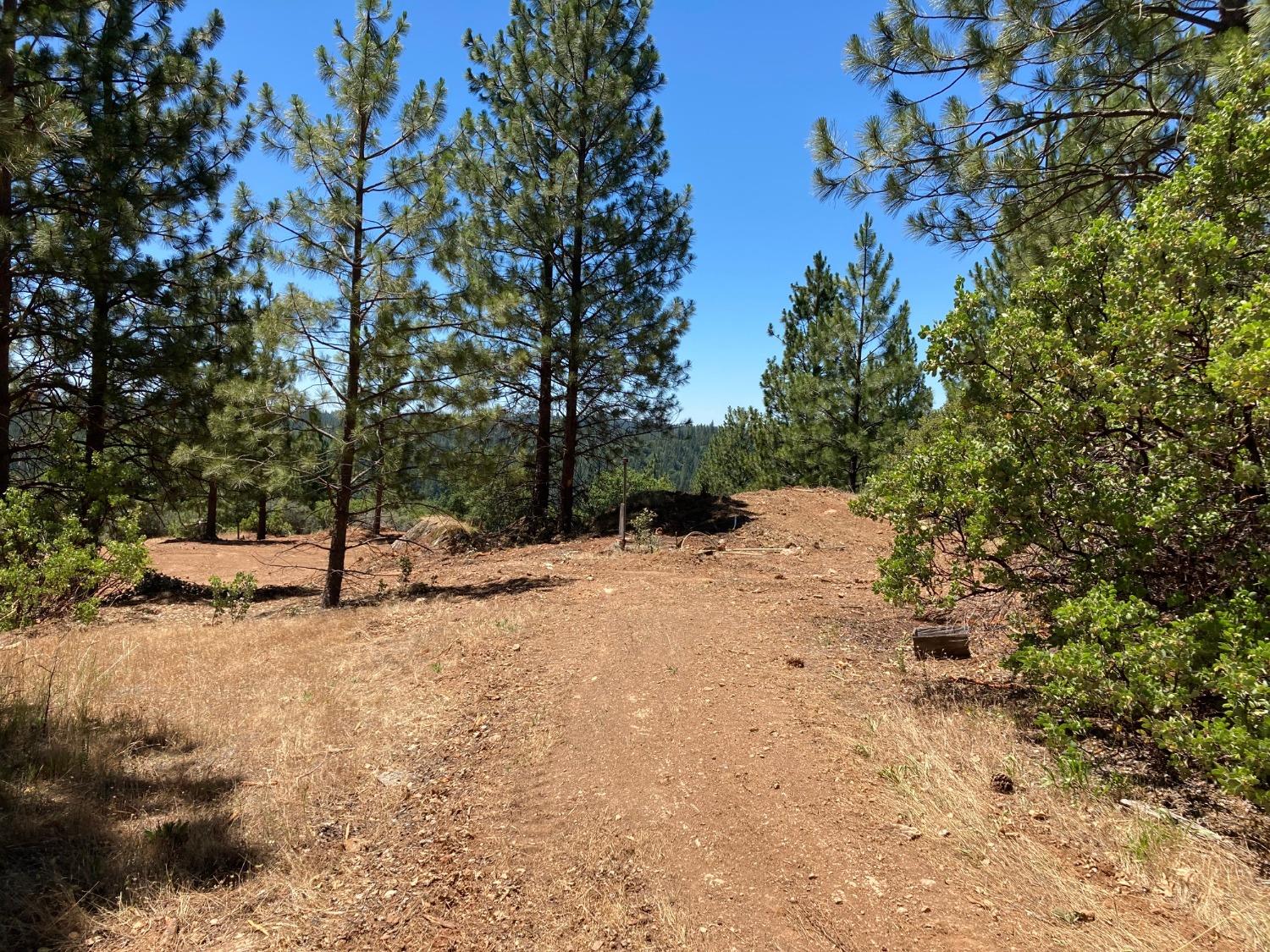 2676 Silver Mountain, Wilseyville, California 95257, ,Land,For Sale,Silver Mountain,202300922