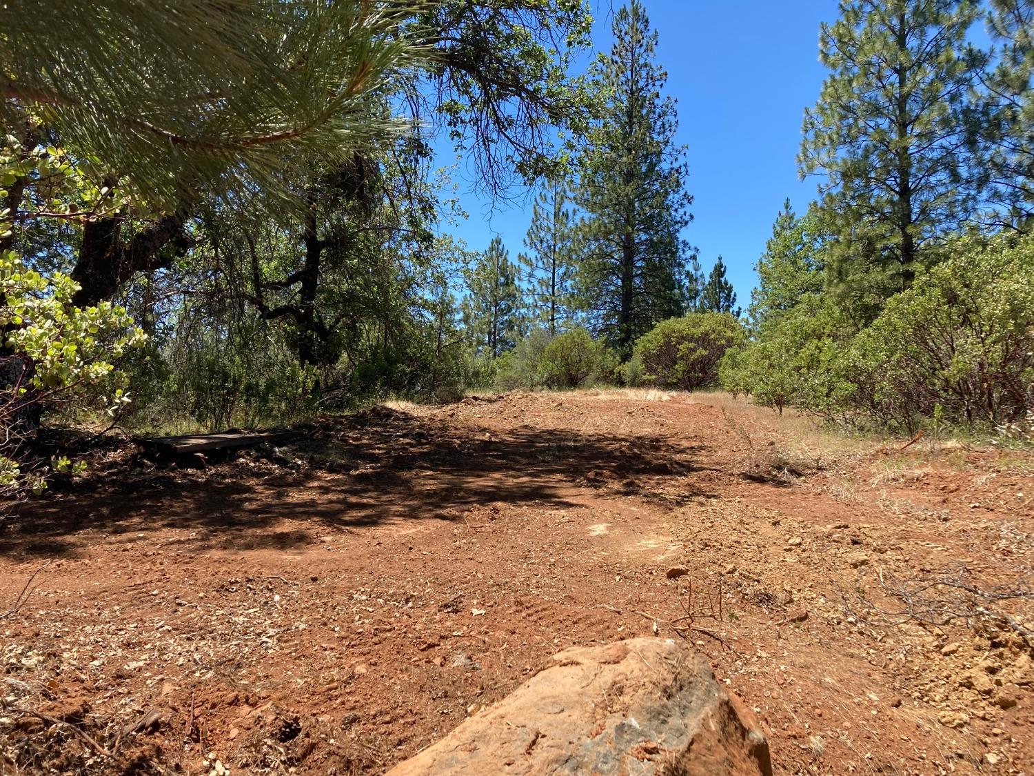 2676 Silver Mountain, Wilseyville, California 95257, ,Land,For Sale,Silver Mountain,202300922