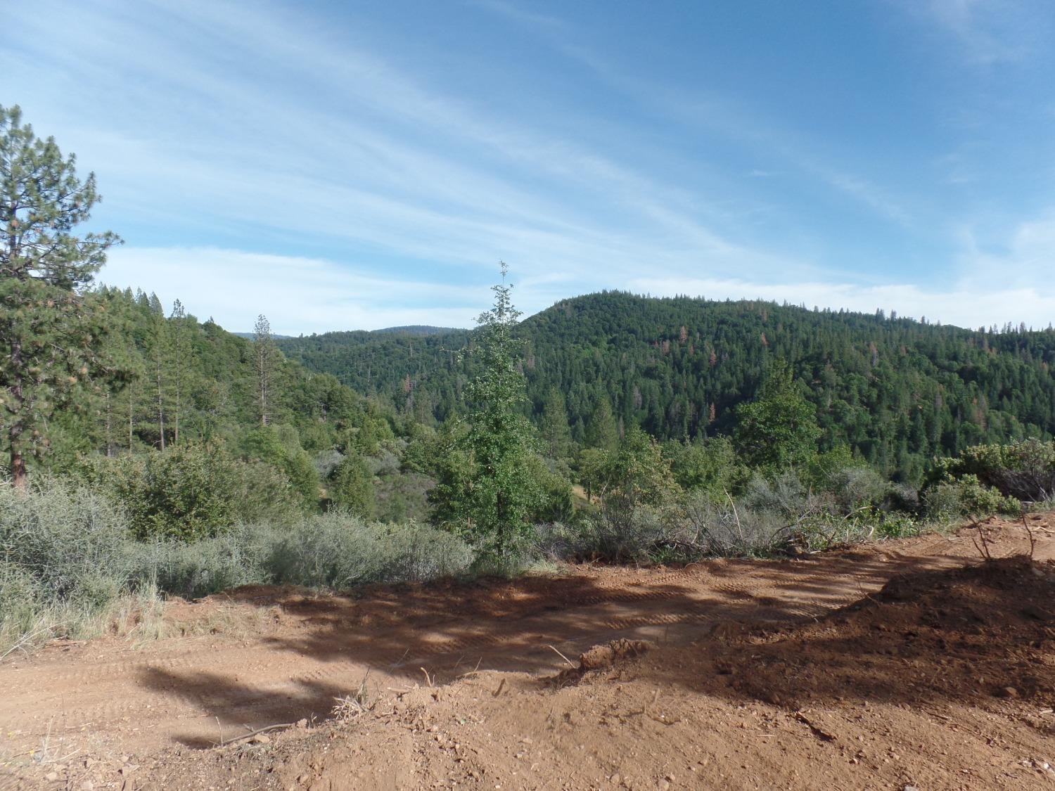 2676 Silver Mountain, Wilseyville, California 95257, ,Land,For Sale,Silver Mountain,202300922