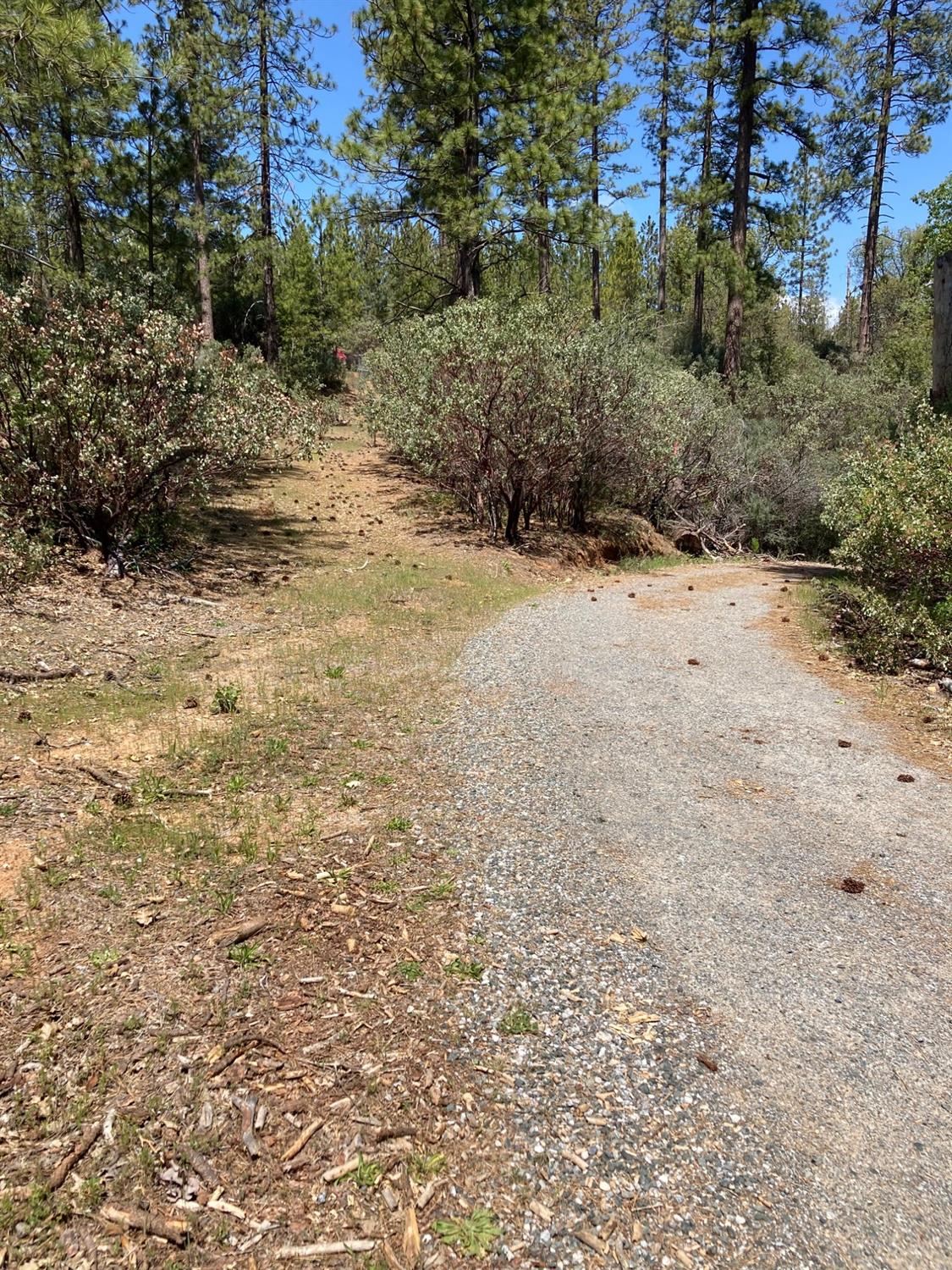 2676 Silver Mountain, Wilseyville, California 95257, ,Land,For Sale,Silver Mountain,202300922