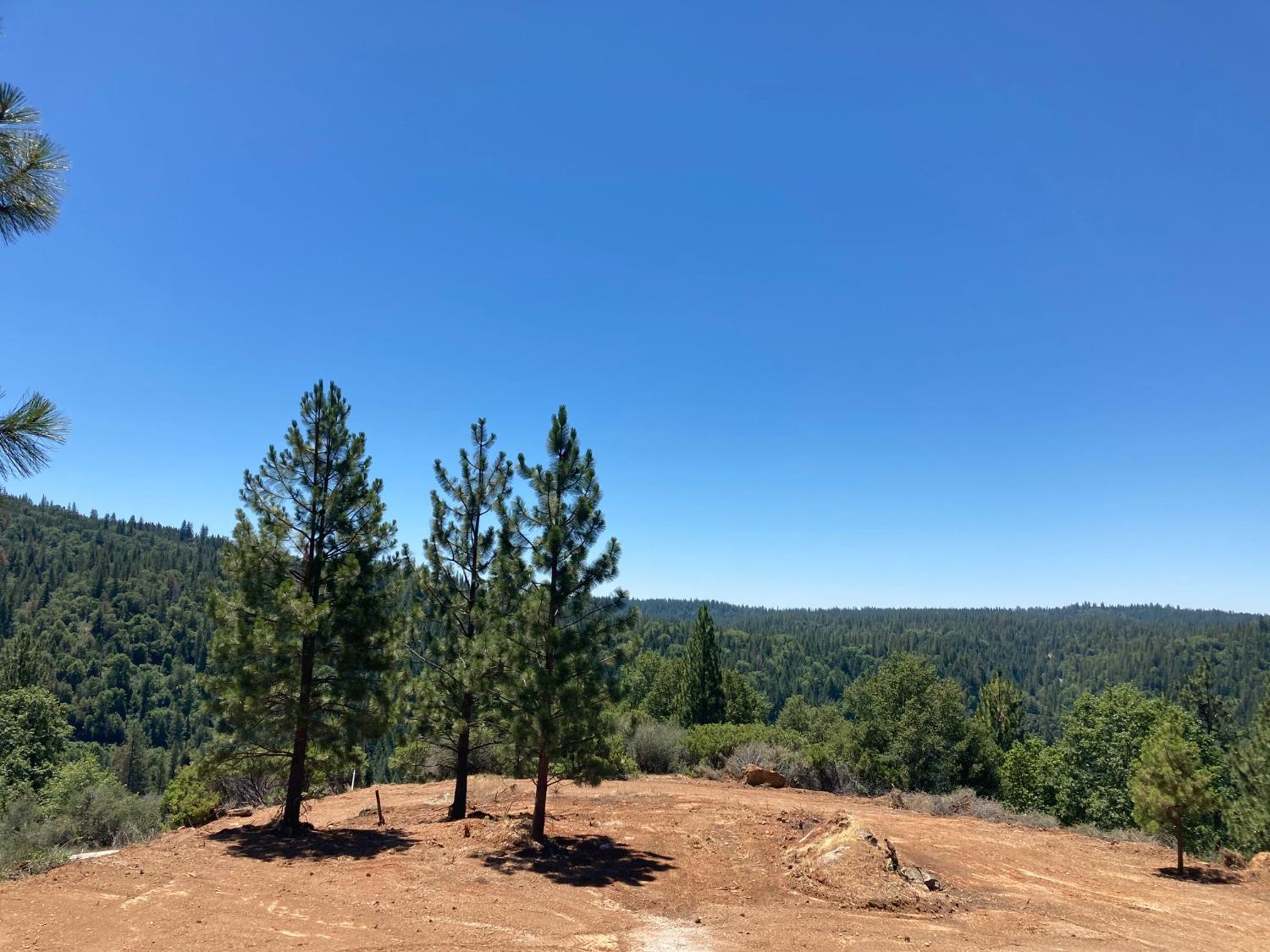 2676 Silver Mountain, Wilseyville, California 95257, ,Land,For Sale,Silver Mountain,202300922