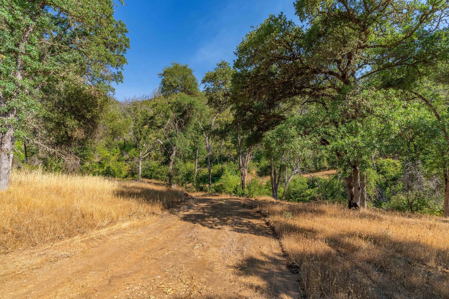 4744 Mountain Ranch Road, San Andreas, California 95249, ,Land,For Sale,Mountain Ranch,202300933