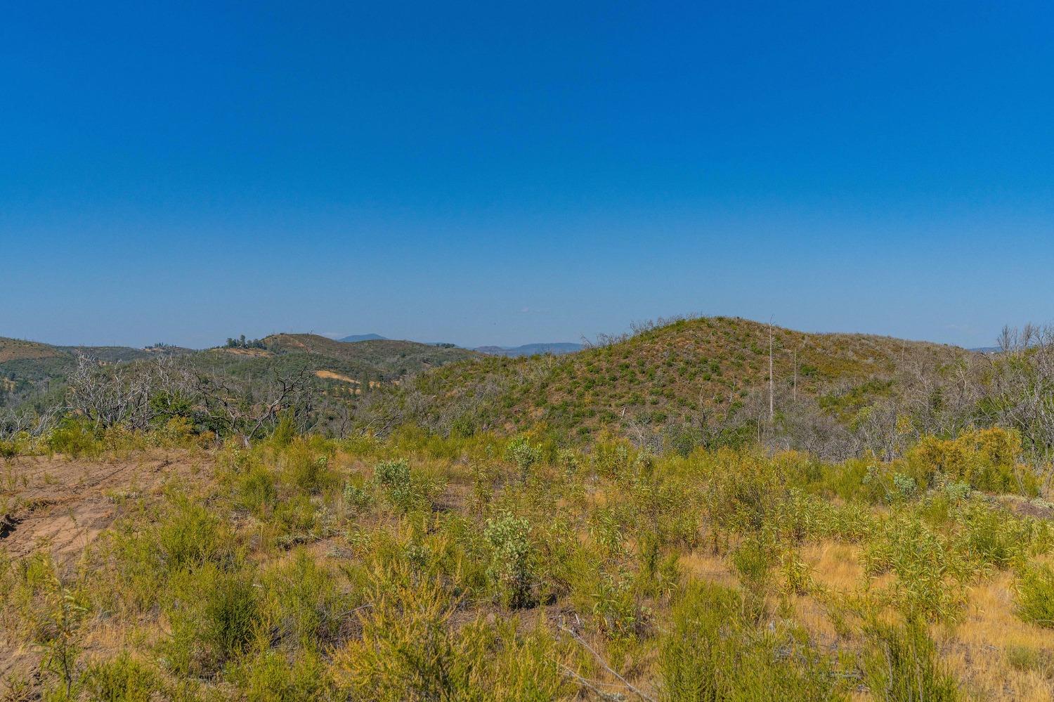 4744 Mountain Ranch Road, San Andreas, California 95249, ,Land,For Sale,Mountain Ranch,202300933