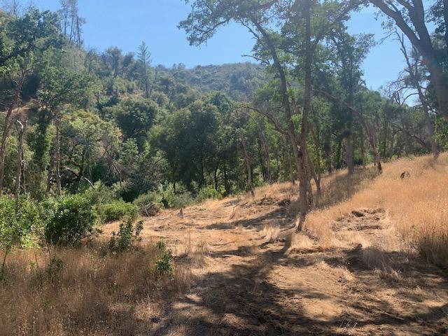 4744 Mountain Ranch Road, San Andreas, California 95249, ,Land,For Sale,Mountain Ranch,202300933