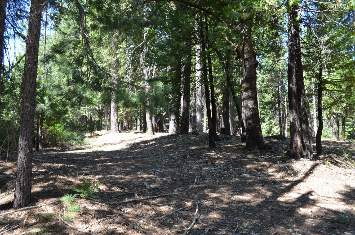 3112 Apache, Dorrington, California 95223, ,Land,For Sale,Apache,202300951