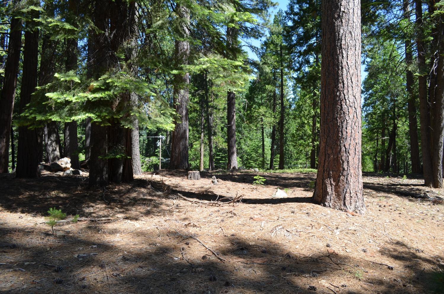 3112 Apache, Dorrington, California 95223, ,Land,For Sale,Apache,202300951